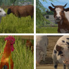 Farming Simulator 17 (PC) - Steam Key - UNITED STATES