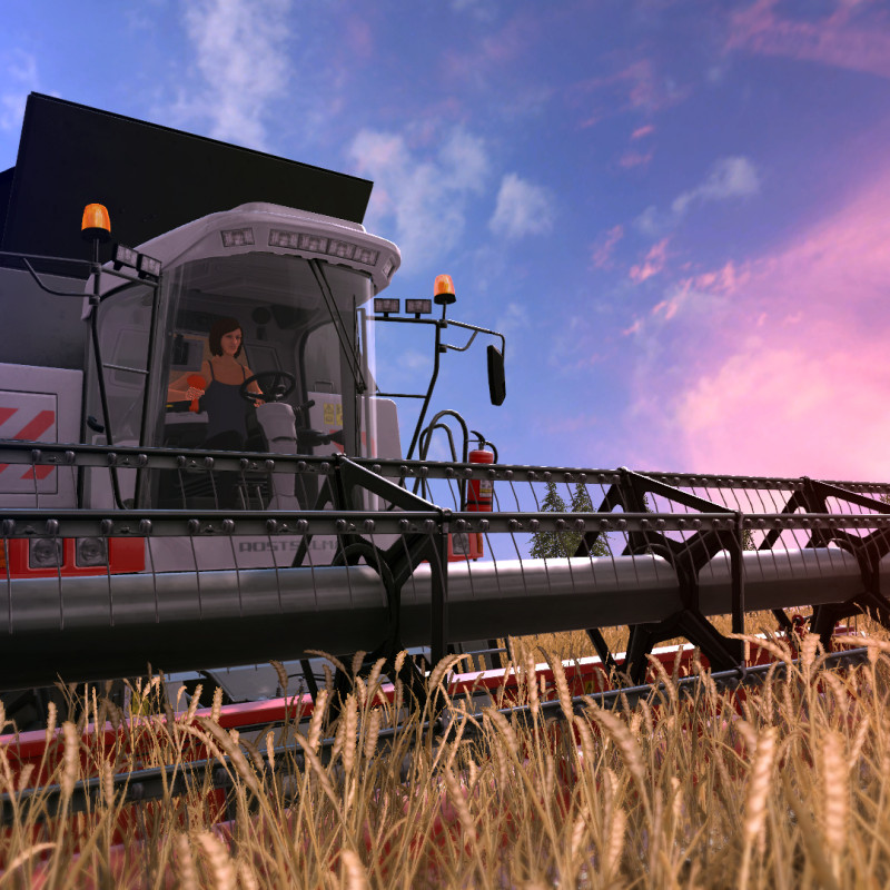 Farming Simulator 17 (PC) - Steam Key - UNITED STATES
