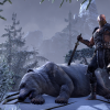 The Elder Scrolls Online (PC) - Steam Key - EUROPE The Elder Scrolls Online (PC) - Steam Key - EUROPE