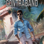 Airport Contraband (PC) - Steam Key - GLOBAL