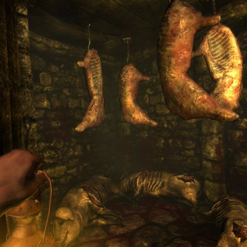 Amnesia: The Dark Descent (PC) - Steam Key - EUROPE Amnesia: The Dark Descent (PC) - Steam Key - EUROPE